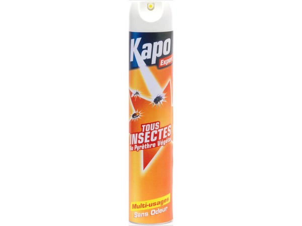 Anti insecte aérosol tous insectes, KAPO EXPERT, 500 ml