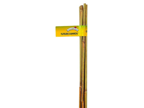 Lot De 6 Tuteurs Bambou Droit Nortene H.0.6 M