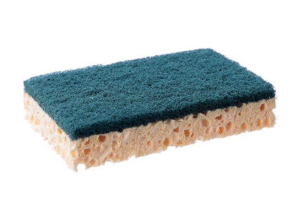 Lot De 10 Éponges Multi-Usages Xl Spontex Expert