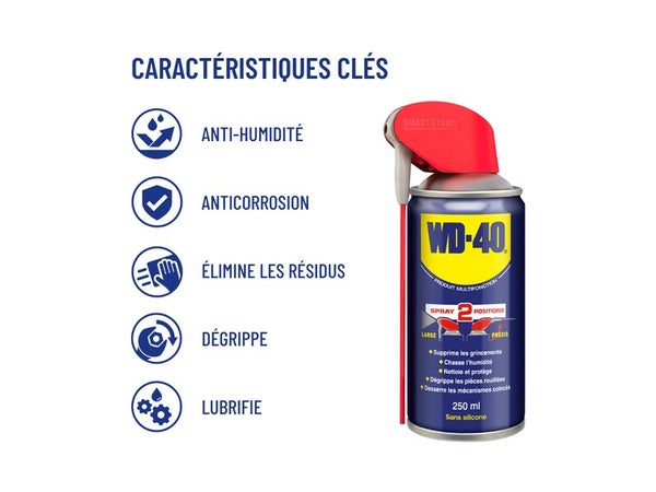 Lubrifiant multifonction en aérosol, WD-40, 250 ml