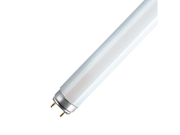 Réglette de sécurité led intégrée 1 x 24 W L.120 cm blanc neutre INSPIRE