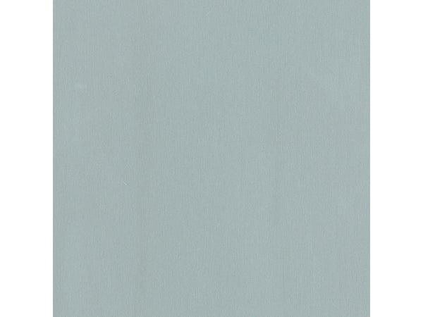 Tôle Acier Inoxydable Lisse Brossé Gris L.60 X L.100 Cm Ep.0.8 Mm