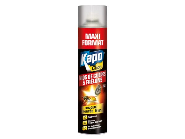 Anti guêpe frelon foudroyant aérosol 600 ml gratuit KAPO CHOC
