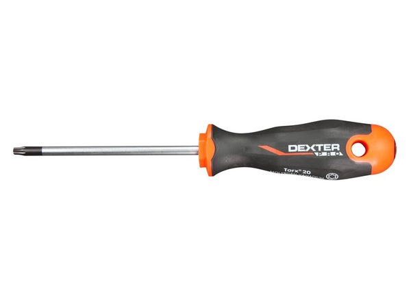 Tournevis Torx T20, L.100 Mm Dexter Pro