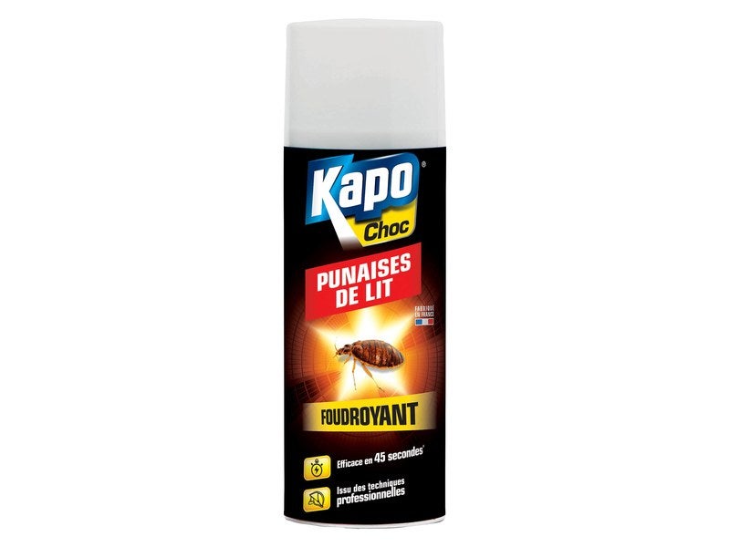 Bombe insecticide a rosol pour punaise de lit KAPO 400 ml
