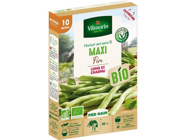 Graine haricot maxi VILMORIN 100 g