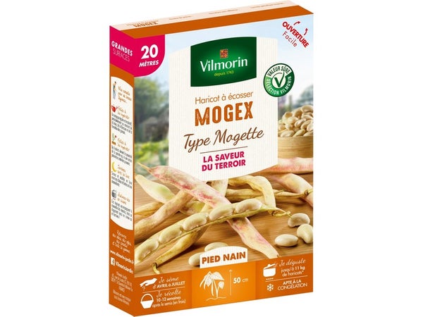 Graine haricot mogex VILMORIN 159 g