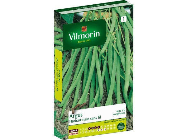 Haricot haricot argus VILMORIN 110 g
