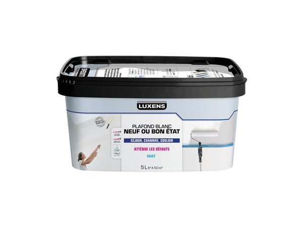 Peinture Plafond Luxens Sans Trace Blanc Mat, 5 L