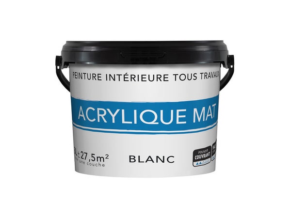 Peinture intérieure mur et plafond tous travaux, 12 L blanc mat