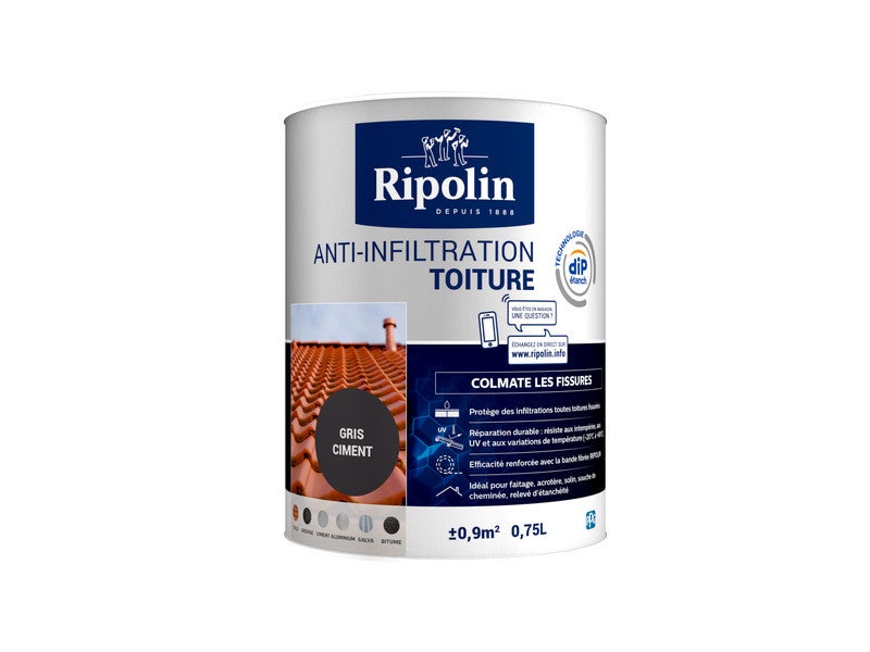 Peinture Ripolin Dip Etanch anti-infiltration d'eau gris 0,75 L