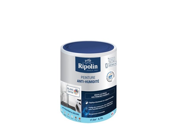 Peinture Antihumidité Rip Etanch, Ripolin Blanc 0.75 L