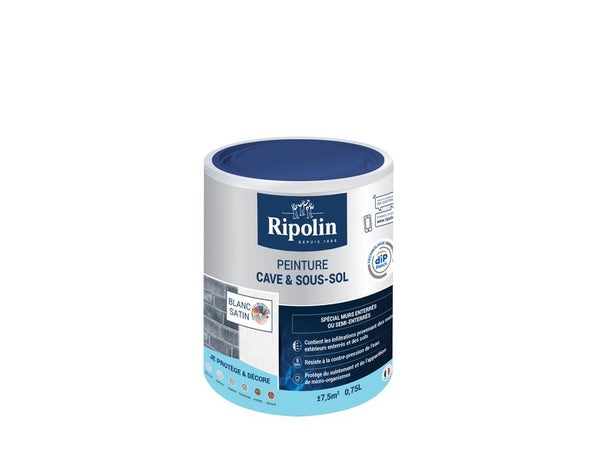 Peinture Cave Et Sol Rip Etanch, Ripolin Blanc 0.75 L
