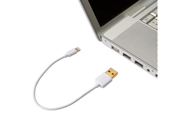Câble Chargeur Lightning Iphone, 0.2 M Blanc Evology