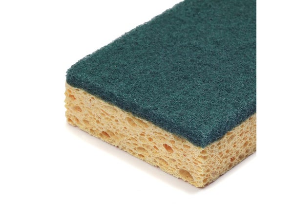 Lot de 10 éponges néttoyage quotidien cellulose, IMPACT