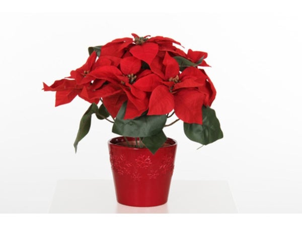 Poinsettia, Cache Pot En Céramique Rouge