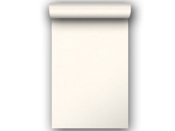 Papier Peint Vinyle Béton Mat Blanc Calcaire N°4