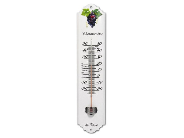 Thermomètre Intérieur Ou Extérieur Inovalley 7100