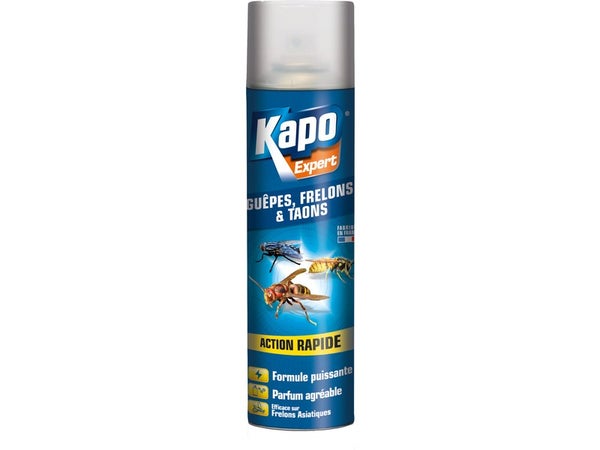 Anti-Insecte Et Punaises Action Rapide RAID : le spray de 400mL à