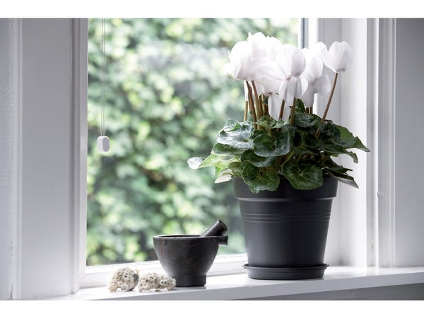 Pot de fleurs en plastique Stark S simple ou double paroi (40/27 x 80 cm) -  Green City