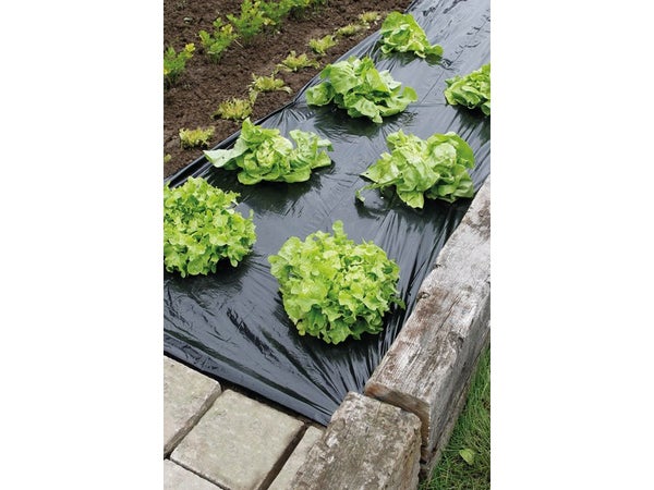 Film De Paillage Potager Geolia, 94 G/M², 1.4 X 5 M