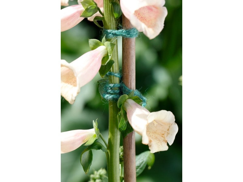 Xclou Corde de jute pour le jardin - Bobine de ficelle en jute verte -  Rouleau de corde en jute 70 m pour le tuteurage : : Jardin