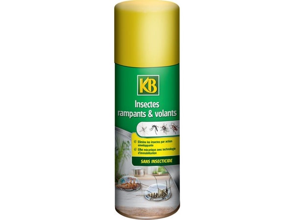 Aérosol anti-insectes volants et rampants, KB, 300 ml