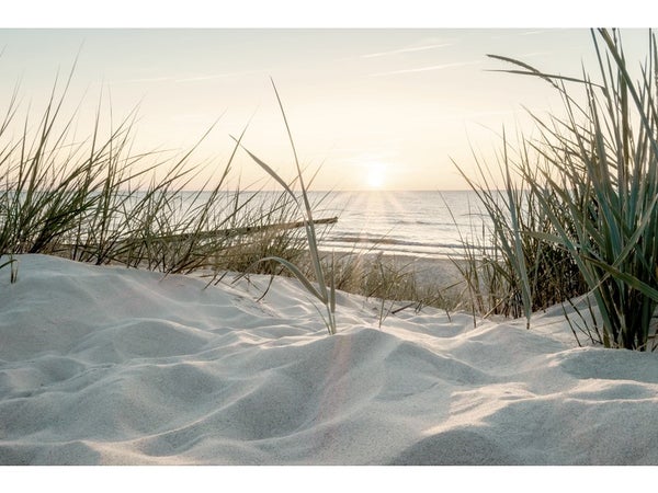 Toile Imprimée Beach Sunset, Multicolore Artis L.44.5 X H.30 Cm