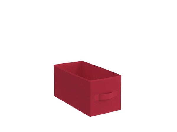 Panier Polypropylène Spaceo Kub Rouge H.15 X L.15 X P.15 Cm