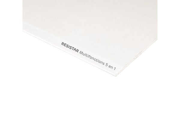 Plaque de plâtre BA 13, 5en1 : feu, phonique, hydro, HD, H.250 x l.120 cm, blanc