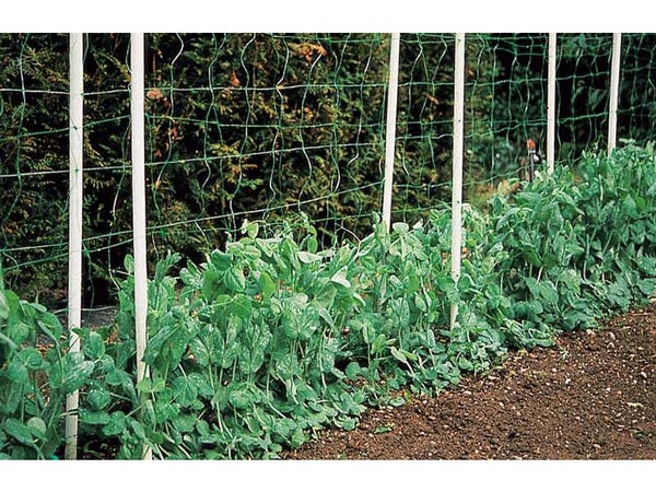 Filet Protection Jardin 2 X 30m-Filet Cloture pour Protéger Jardin