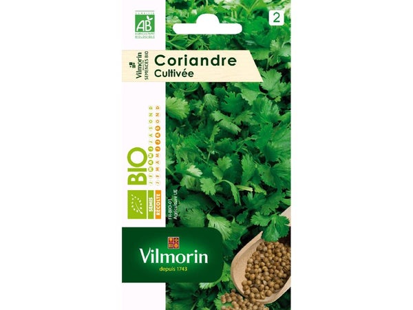 Coriandre coriandre bio VILMORIN 0.5 g