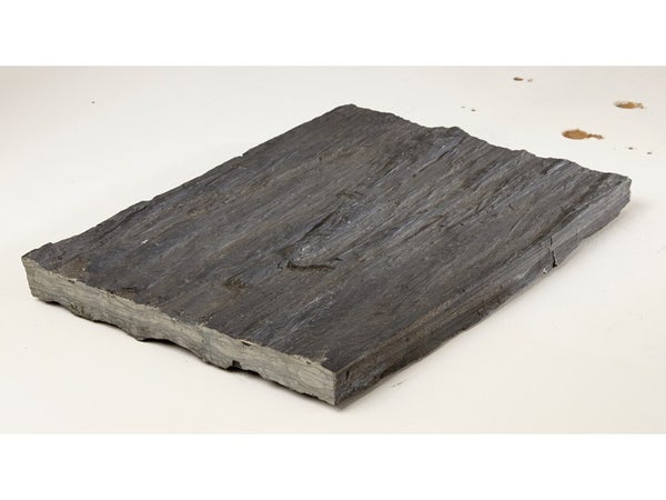 Pas japonais Ardoise en pierre naturelle gris ardoise, L.40 x l.30 x Ep.3.5 cm