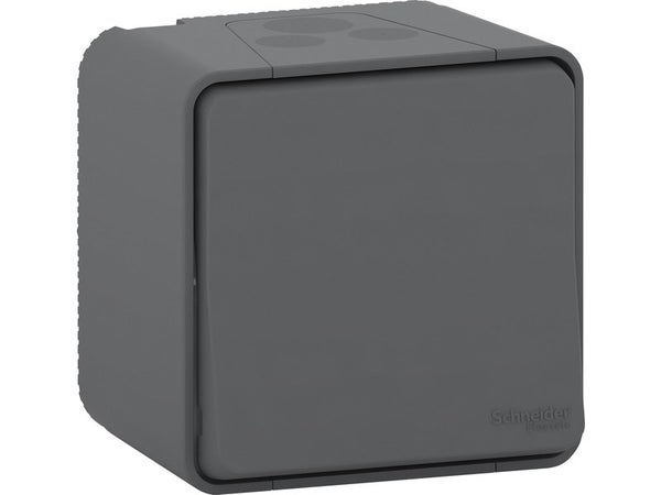 Interrupteur va-et-vient étanche complet, SCHNEIDER ELECTRIC Mureva, gris anthracite