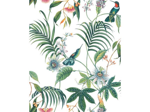Papier peint vinyle colibri tropical Adila, vert