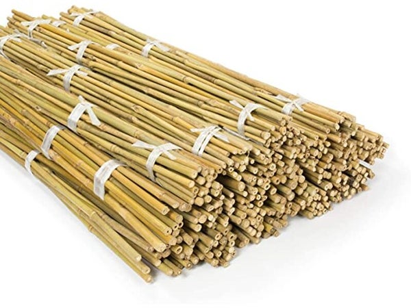 Tuteur bambou droit, IDEAL GARDEN, H.2.1 m
