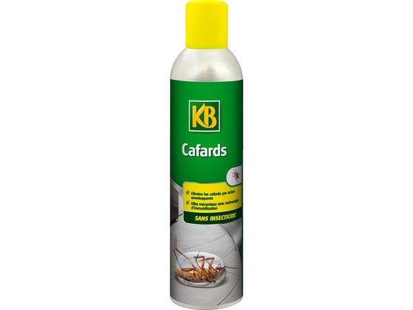 Anti-cafards aérosol cafard KB, 300 ml