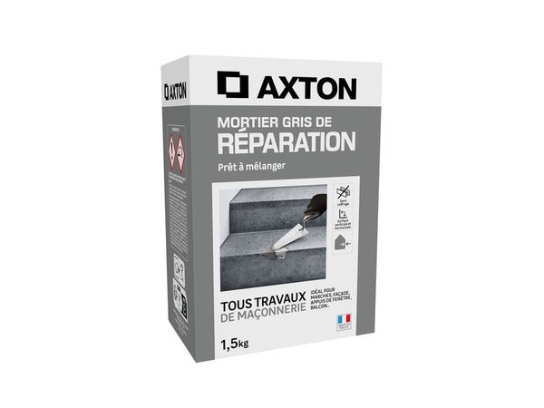 Mortier de réparation gris AXTON, 1,5 kg