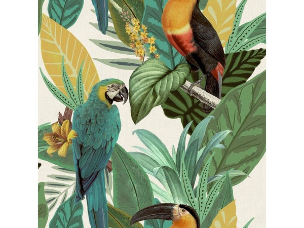 Papier peint intisse toucan jungle multicouleur