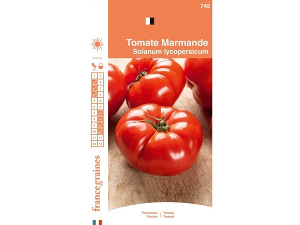 Tomate marmande