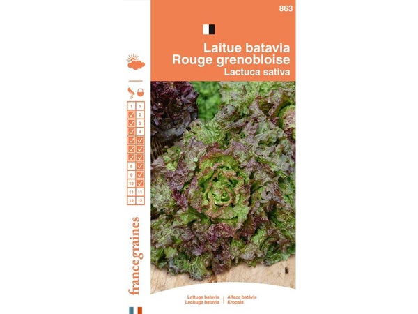 Sachet graines laitue batavia rouge grenobloise, FRANCE GRAINES, 3 g