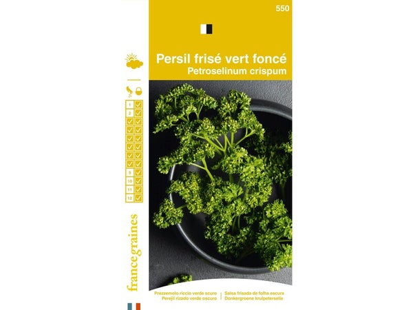 Sachet graines persil frisé vert foncé, FRANCE GRAINES, 3 g
