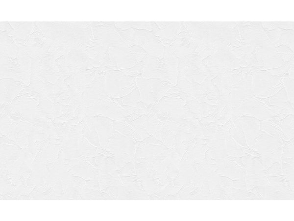Papier peint à peindre revêtement de rénovation sur intissé 170 g/m² taloche