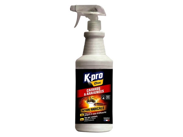 Insecticide anti-rampants pulvérisateur cafard et araignée, K.PRO, 1 litre