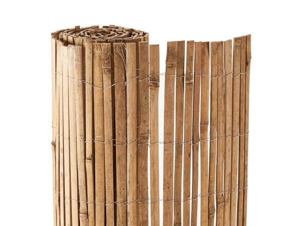 Canisse bambou 1x3m occultation moyenne naturelle