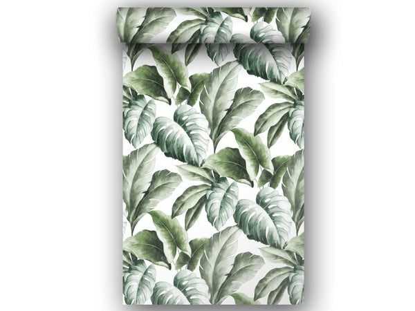 Papier peint vinyle FLORIDA vert
