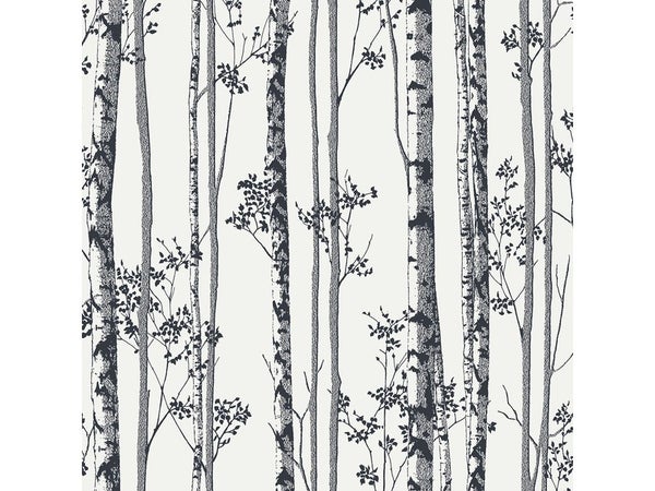 Papier peint bouleaux, noir et blanc