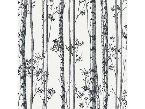 Dark Birch - Cadre Mural en Bois - 50 x 70 cm - Noir - Habitat