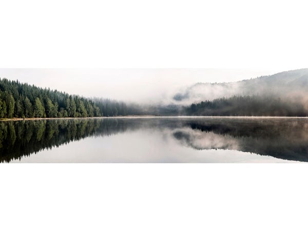 Verre imprime Glassart 30x97 lac foret brume, multicouleur CEANOTHE l.95.5 x H.3