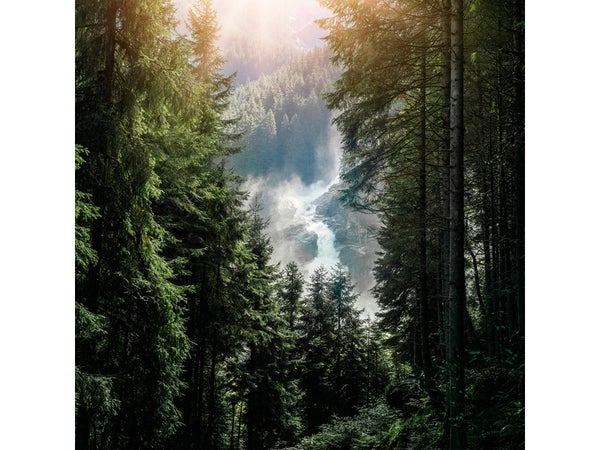 Verre imprime Glassart 45x45 cascade foret, multicouleur CEANOTHE l.43.5 x H.43.